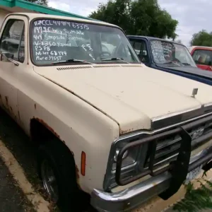 1979 Chevy Scottsdale Stepside