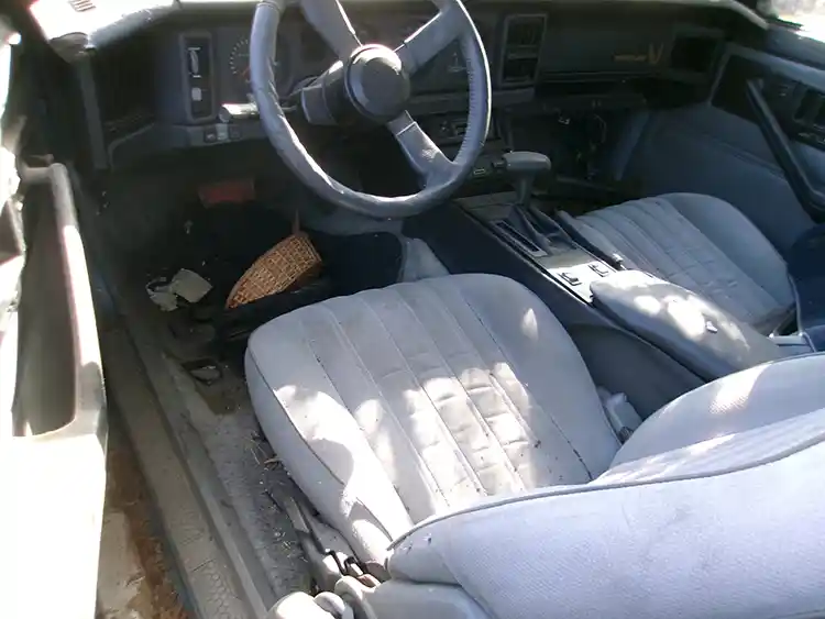 1985 Pontiac Transam - Image 2