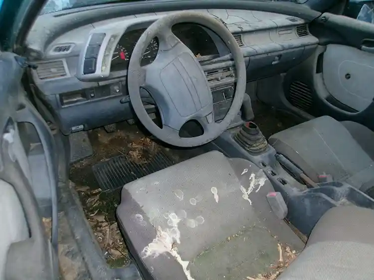 1992 Geo Storm - Image 3