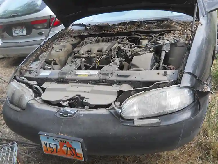 1999 Chevy Monte Carlo LS - Image 4