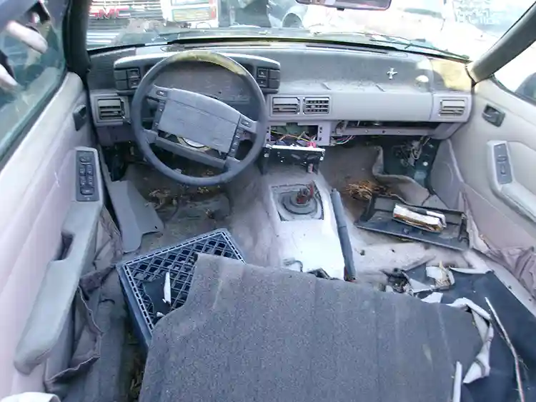 1992 Ford Mustang GT Foxbody Convertible - Image 3