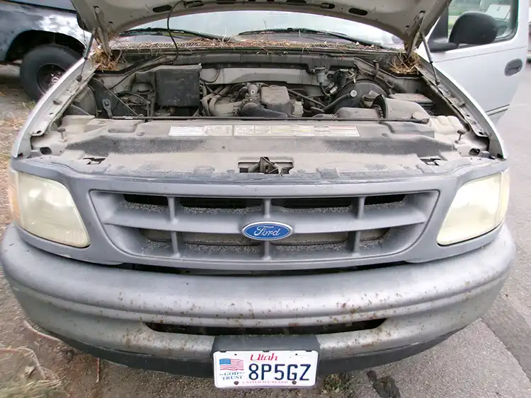 1997 Ford F150 - Image 4