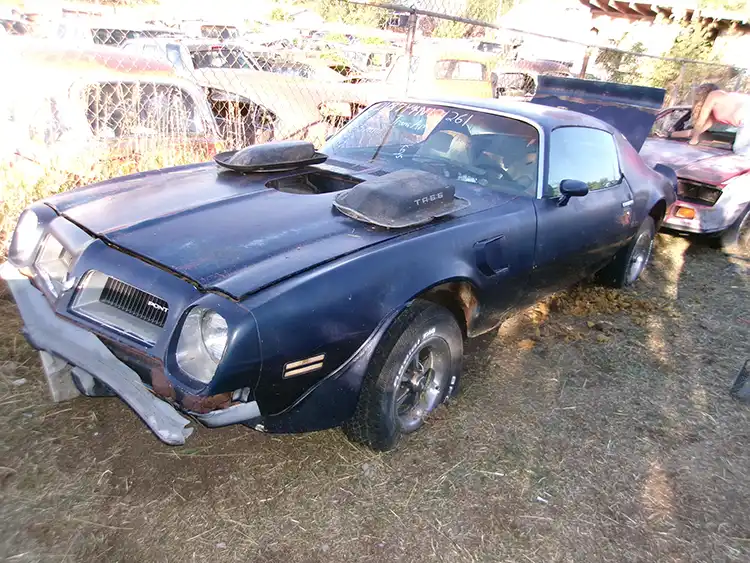 1974 Pontiac Firebird TransAm - Image 2