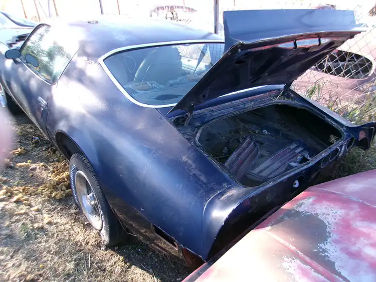 1974 Pontiac Firebird TransAm - Image 3