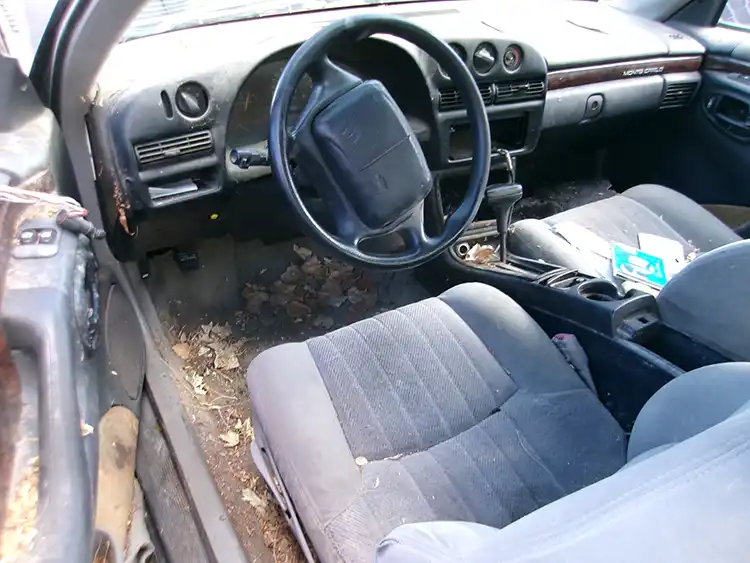 1995 Chevy Monte Carlo LS - Image 3